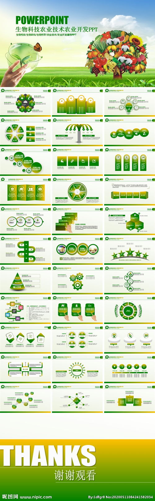生物科技農(nóng)業(yè)技術(shù)農(nóng)業(yè)開(kāi)發(fā)ppt