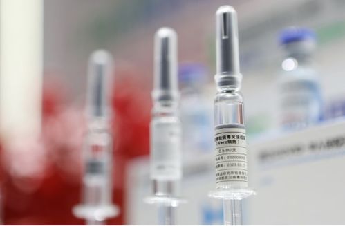 國際早報 中國疫苗獲世衛(wèi)認證 泰國菠蘿工廠百人確診
