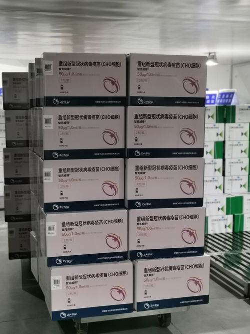 好消息 60萬支 三針法 新冠疫苗已抵達廣東