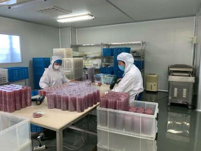 送政策、送口罩、幫復(fù)工 政府幫助虹口這家企業(yè)3天研制出病毒采樣管