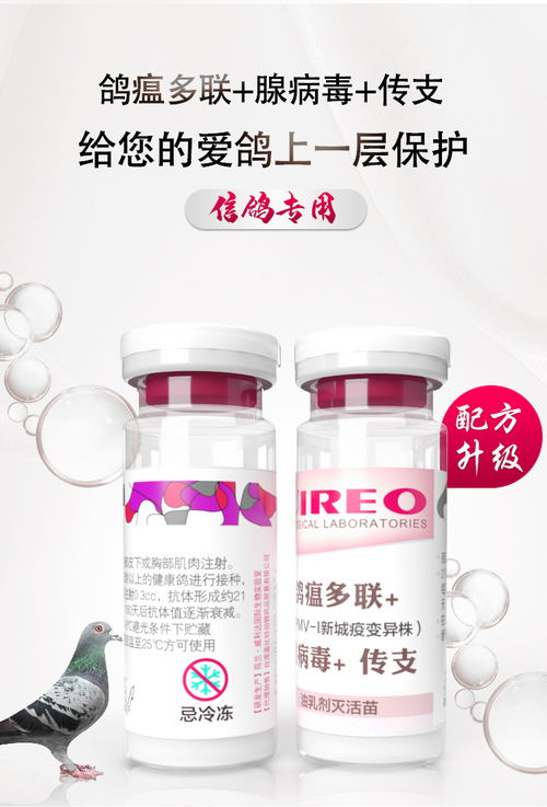 復(fù)合新城疫 腺病毒 傳支三聯(lián)滅活疫苗產(chǎn)品展示
