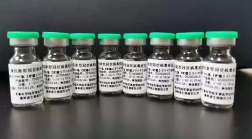 生物疫苗 醫(yī)療器械 中藥龍頭,2天2板,兩個(gè)月暴漲320 ,還有幾倍空間