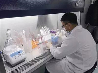 【媒體看李滄】大眾日報 | 博隆基因治療性生物制品項目:打造國家級基因工程抗體研究中心