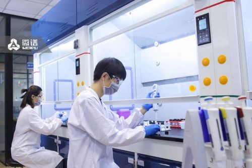 微譜助力國內(nèi)第8款pd 1產(chǎn)品獲批上市