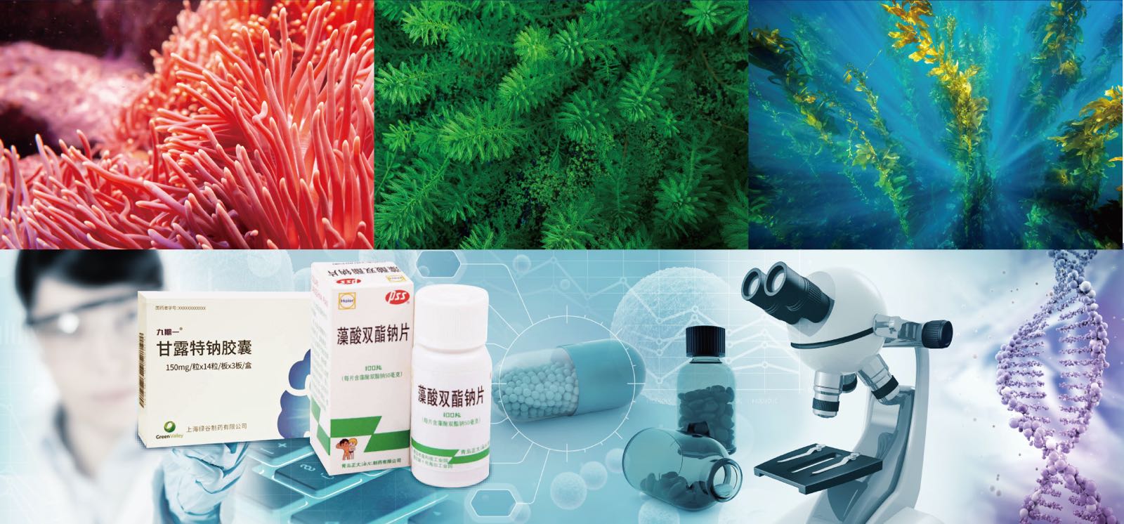 華大海洋樹立企業(yè)擔(dān)當(dāng)大力促進(jìn)海洋生物醫(yī)藥研發(fā)
